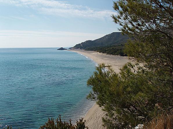 VEN A LA COSTA DAURADA - NO TE LO DEJES PERDER 1