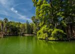 Lago Parque Samá