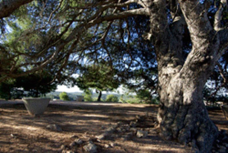 El m&oacute;n rural i cultural de la Palma d'Ebre