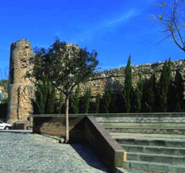 Tortosa, ciutat mediterrània de les tres cultures: la presència jueva