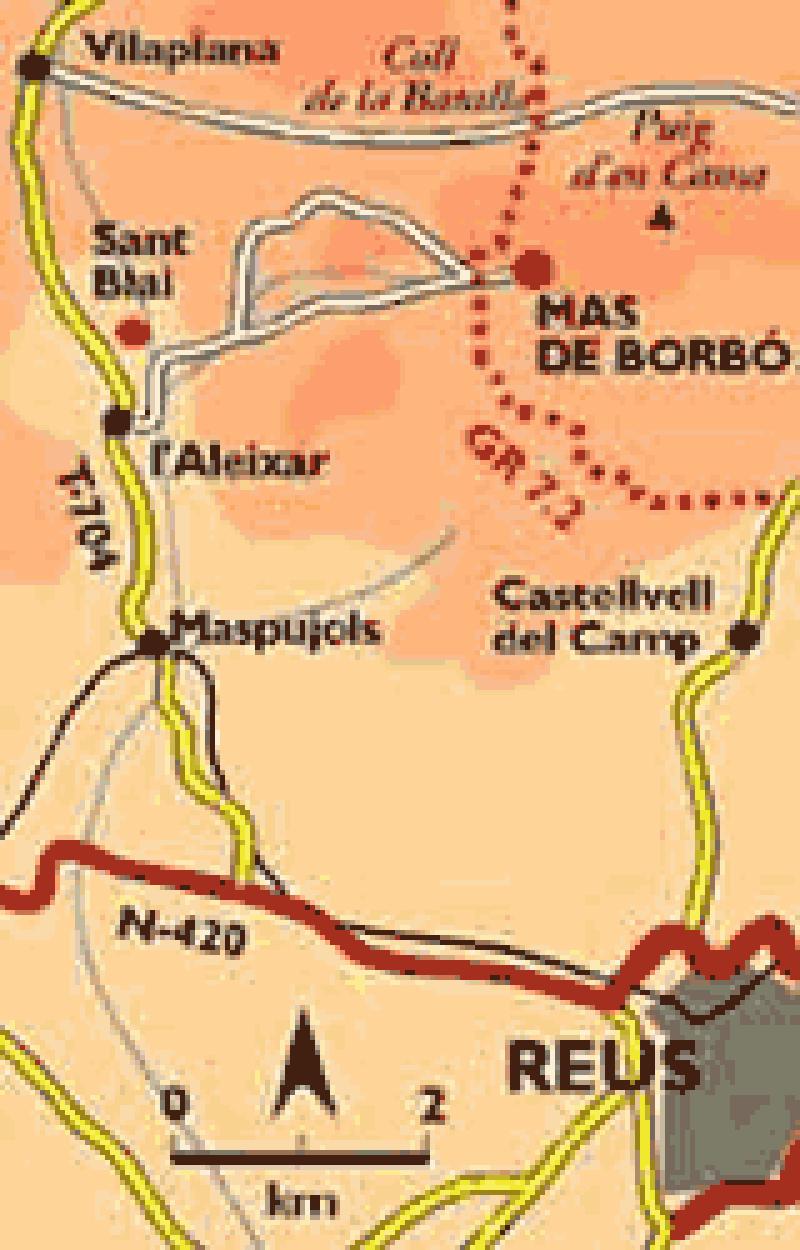 La alzina del Mas de Borb&oacute;. La m&aacute;s vieja.