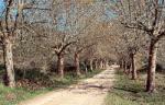 Itinerario por el barranco de la Galera: de la Carrova a Godall