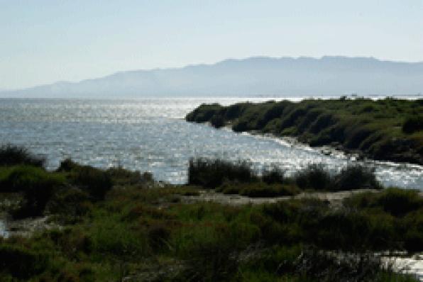 The Delta de lŽEbre