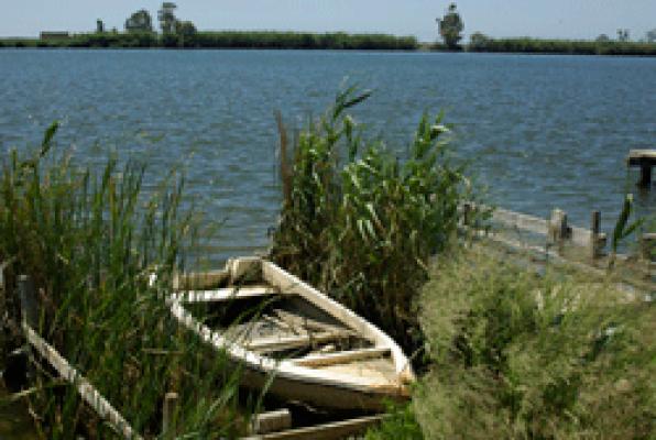 Recorrido por el interior del delta de lŽEbre