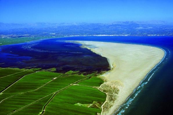 The Delta Ebro, elected new Biosphere Reserve by UNESCO