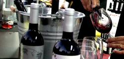 Best wines of the Costa Dorada for 12 euros to Reus Viu el Vi 2013