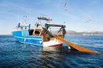 Turism & Fishing in Cambrils.