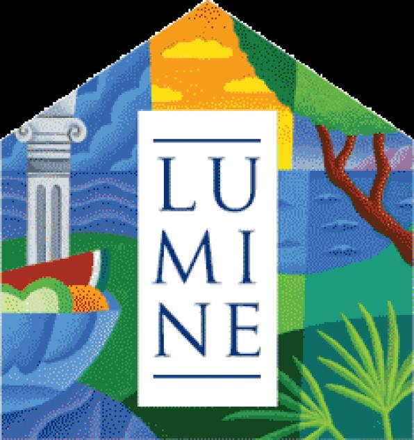 Lumine established partnerships with different groups of Tarragona