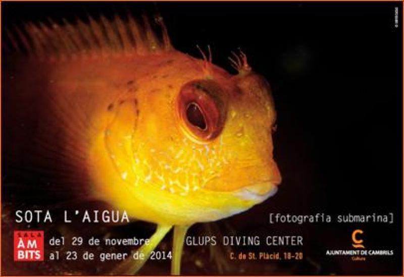 Sota l&acute;aigua