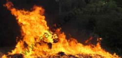 A big party on the beaches in Salou to celebrate Sant Joan 