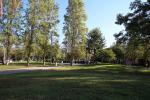 Parc del President LLuís Companys a Salou.15 octubre 2016_5