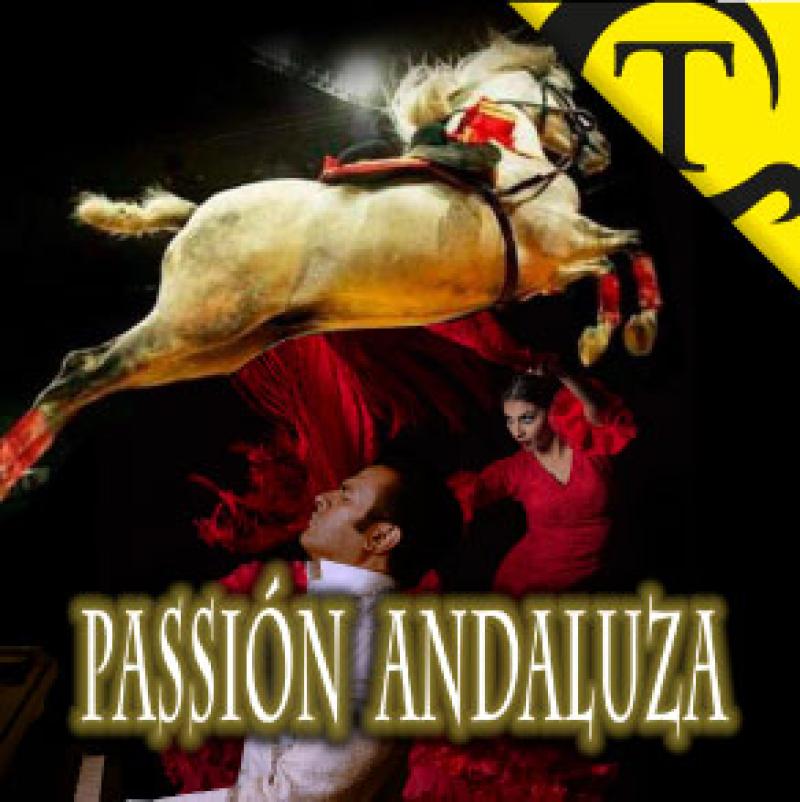 Cavalls i flamenc a Pasi&oacute;n Andaluza