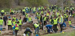 Más de 800 personas participaron en la Plantada Popular al Francolí