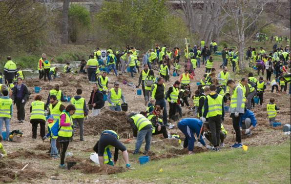 Los 800 participantes plantaron 1.400 arbustos de seis especies.