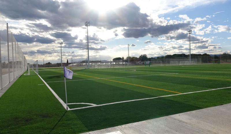 Imagen de uno de los nuevos campos de c&eacute;spec artificial.