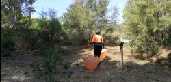 Neteja a la zona arbrada del Cap de Salou