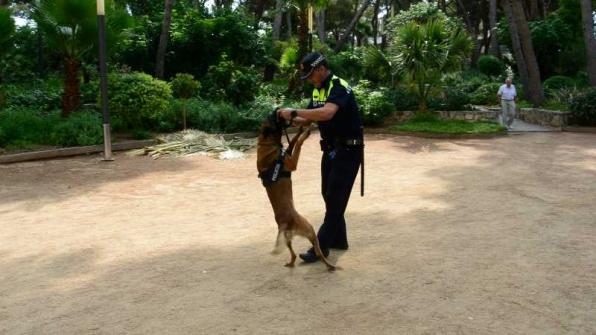 An image of the canine unit of the Local Police of Salou