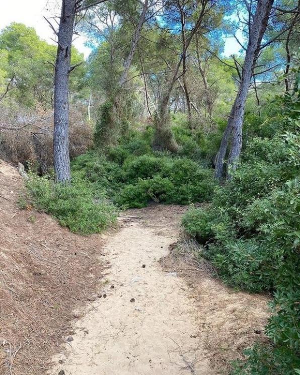 The Camino de Ronda has great environmental and landscape value