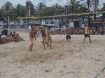 Return the 24hs of Beach Volleyball in Cambrils