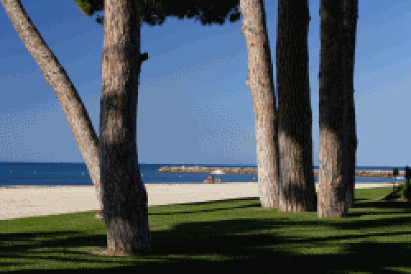 Les platges de Vilafortuny-lEsquirol, Cavet i Prat den For&eacute;s de Cambrils, reben la Bandera blava