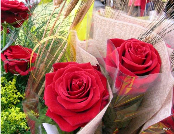 Más actos con motivo de la festividad de Sant Jordi