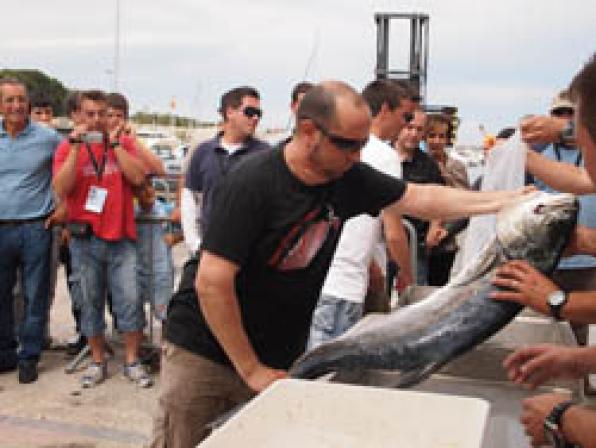 A team wins the Championship Mataró Catalonia Fishing Submarine disputed in Hospitalet de l'Infant