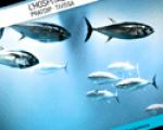 The twelfth Conference of the Tuna will be held from April 3 to May 15