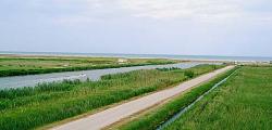 Benvinguts al Parc Natural del Delta de l'Ebre