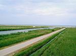 Bienvenidos al Parque Natural del Delta del Ebro