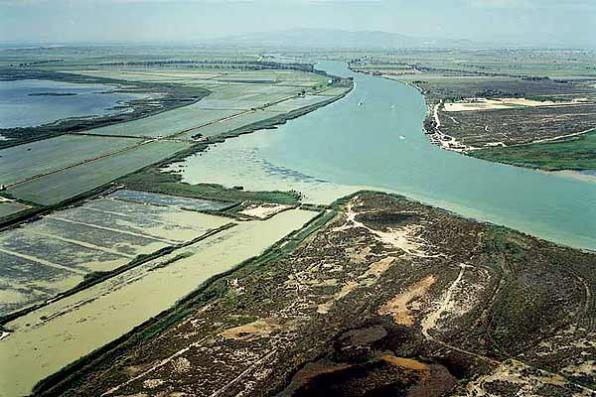 Welcome to Delta de l'Ebre 4