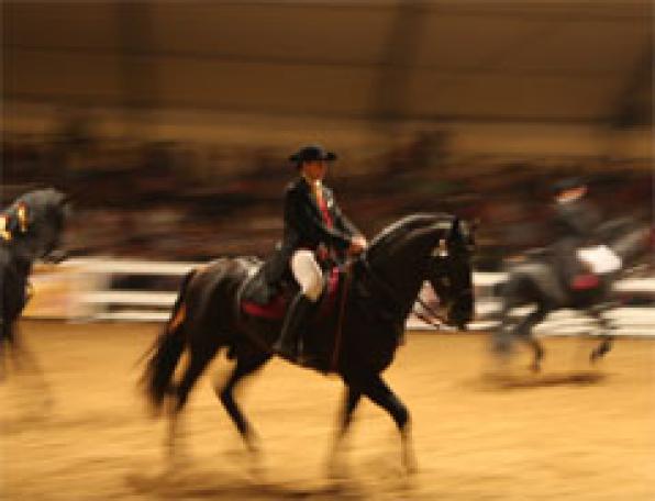 Oficina de Turismo de Cambrils 7